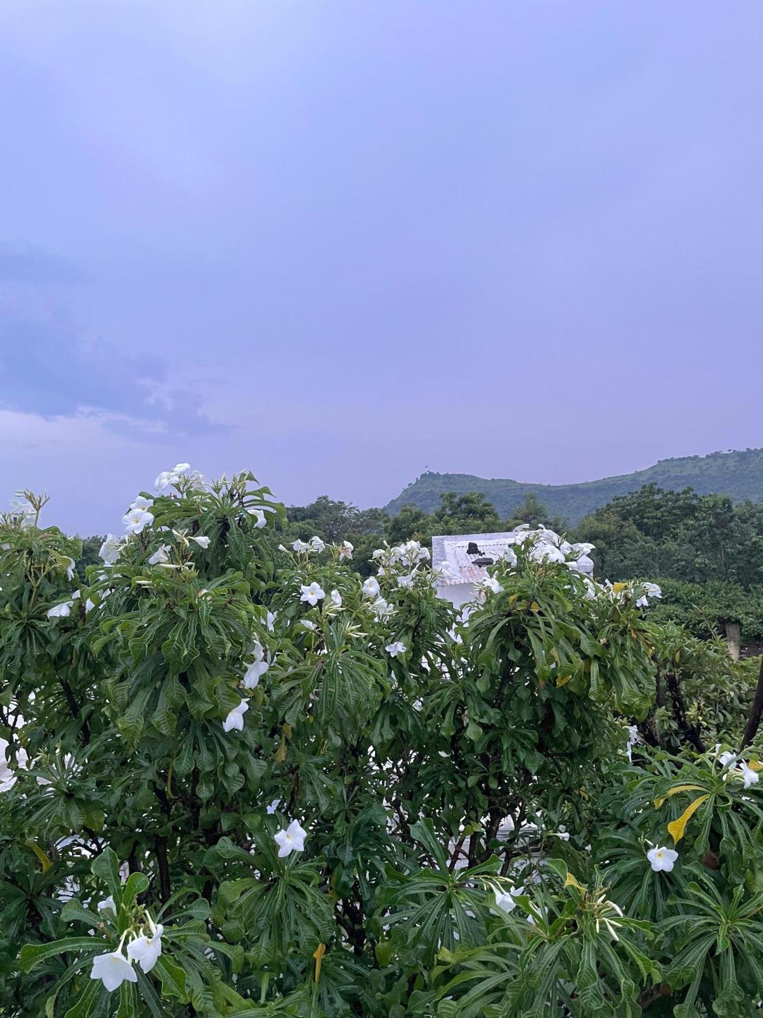 Private & Elegant 3Bhk Villa, Hillside Hideaway, 10 Mins From Mh Bus Stand Evrengabad Dış mekan fotoğraf